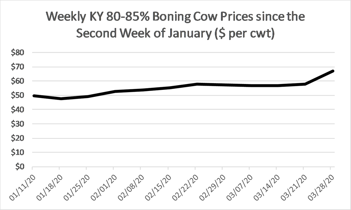 KYCattleEcon's tweet photo. Slaughter cow and bull prices continued showing strength last week. Volatility will continue, but they have been a bring spot in these markets. Source @USDA_AMS #KYCattleMarkets https://t.co/q3xMF2euz8