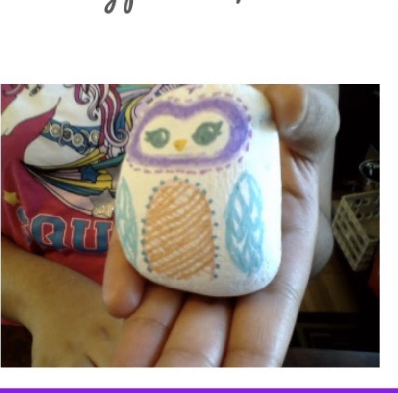 WhitneyStef's tweet photo. Up this week...Pet Rock contest! Reading and creativity.. why not?! @FoxMiddleSchool @CommonLit https://t.co/kvfBUwB2mQ