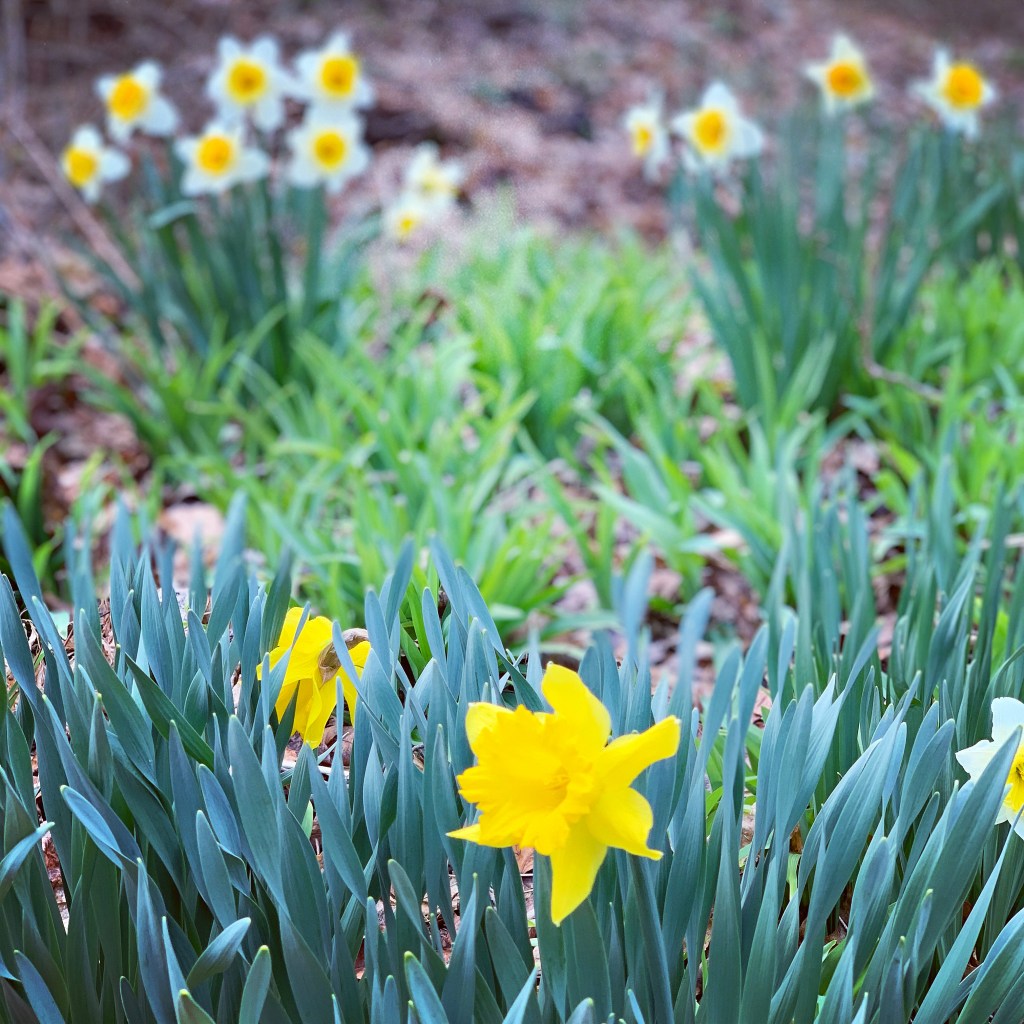 live_read_write's tweet image. No, Not That…This erikacrowl.com/no-not-that-th…