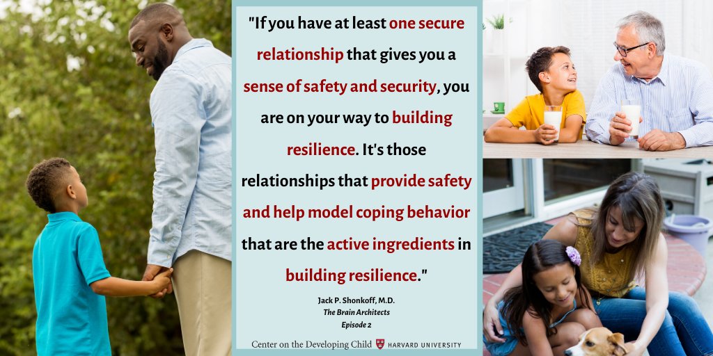 HarvardCenter tweet media