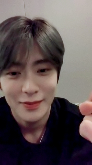비비드 tweet media