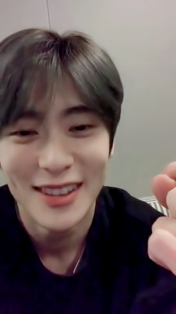 비비드 tweet media