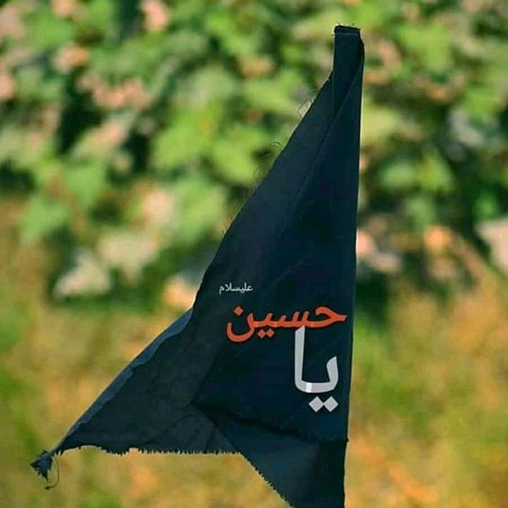 Islamicview4's tweet image. اللھم ارزقنا زیارت الحسین ع 😭🙏

رب زدنی عشقاً بالحسین ع ⁦❤️⁩💐
#مولد_السبط_حسينا #StayHomeStaySafe 
@Listenzehra 
@Listenzehra @Erum_Shehzadii @Masratzahra