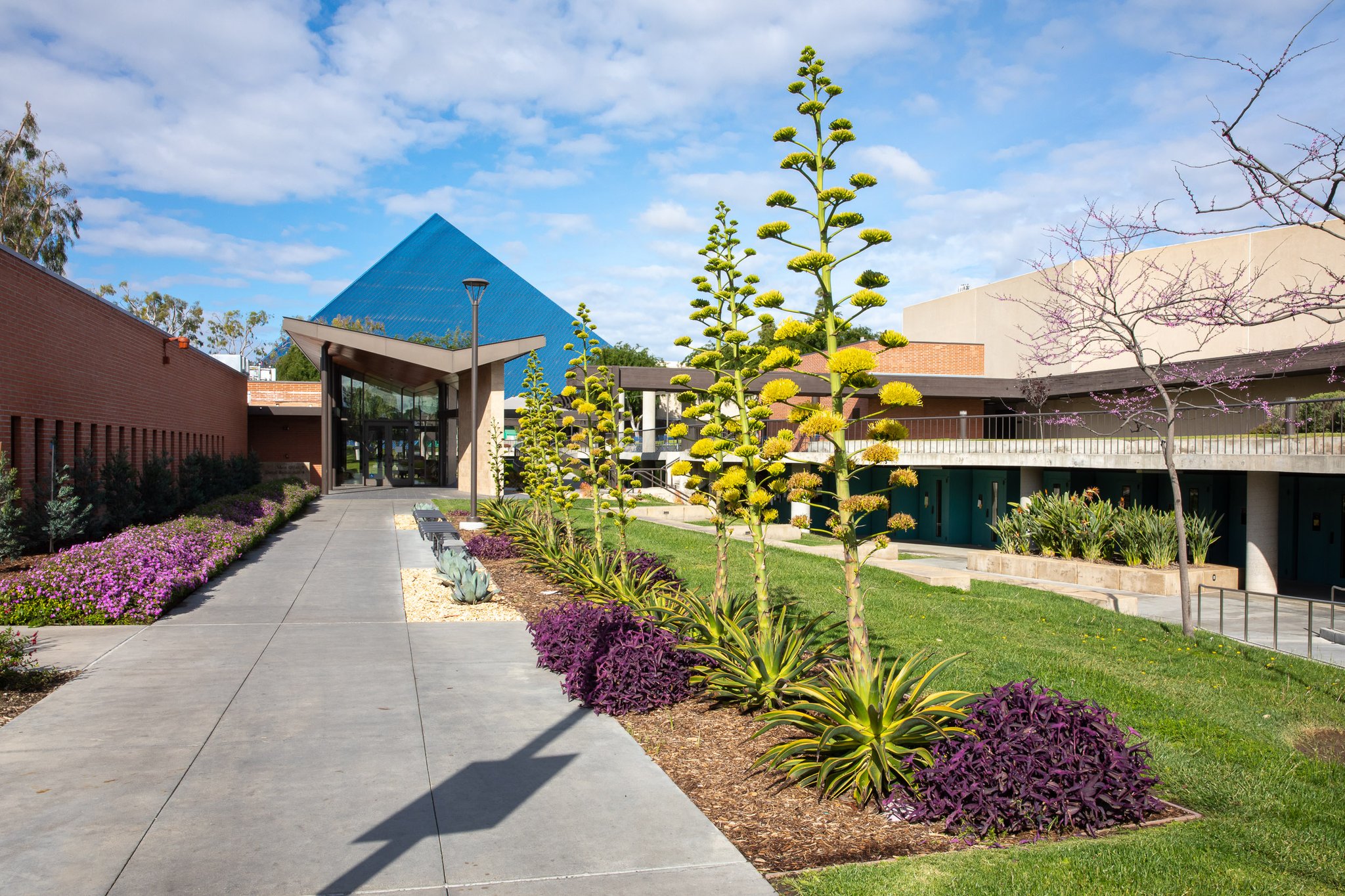 Cal State Long Beach on Twitter "CSULB community Let’s use this