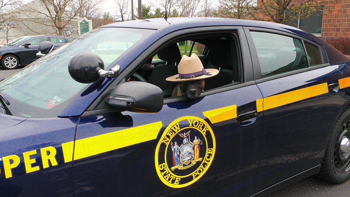 nyspolice tweet picture