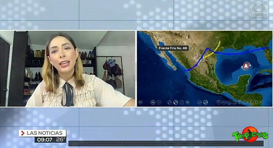 Tampicosos 🌶️🔥 tweet media