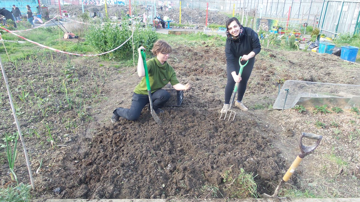 LowCarbonL4L's tweet photo. #FallingFruit Ireland project has been selected by the #IrishFoodWritersGuild for their Community Food Award for 2020! Congratulation to Bernie Brannick and the other Fallen Fruit volunteers. https://t.co/VwvtW1Ovaf https://t.co/iuLjDxhUAR