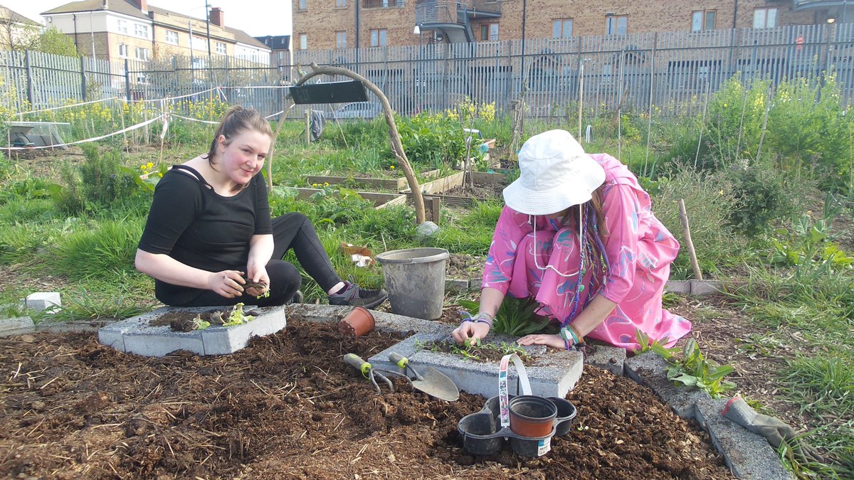 LowCarbonL4L's tweet photo. #FallingFruit Ireland project has been selected by the #IrishFoodWritersGuild for their Community Food Award for 2020! Congratulation to Bernie Brannick and the other Fallen Fruit volunteers. https://t.co/VwvtW1Ovaf https://t.co/iuLjDxhUAR