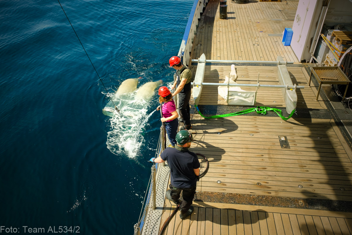 GEOMAR_en's tweet photo. Less than 10 per cent of the plastic entering the ocean can currently be detected. The @jpioceans project #HOTMIC aims to trace the path of #microplastics in the ocean. #FS_ALKOR has already provided samples and data: https://t.co/NXXoQ2d31L @ugent @Unipisa @ipma_pt @SyddanskUni https://t.co/prEYBP1hLb