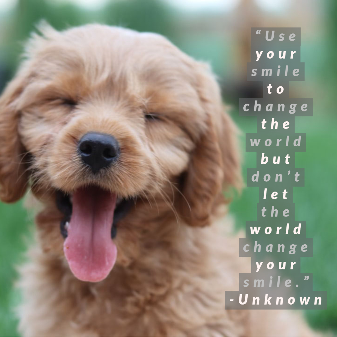 Stay positive and hang in there!
#Wegotthis