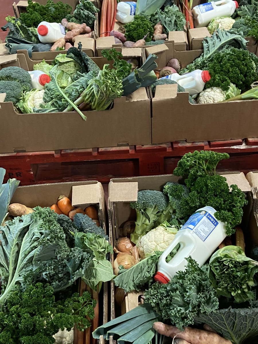 Hectic day , lots of veg boxes ready for delivery <a href="/allthefood_/">All The Food</a> <a href="/gnelis/">Gillian Nelis</a> <a href="/LucindasIreland/">LUCINDA O’SULLIVAN</a> <a href="/mcdigby/">Marie-Claire Digby</a> <a href="/katymcguinness/">Katy McGuinness</a> <a href="/CorinaHardgrave/">Corinna Hardgrave</a> <a href="/DrummondHGarlic/">DrummondHouse Garlic</a> <a href="/Clashduff/">ringsfarm.ie</a> <a href="/Sinead_Smyth_/">Sinéad Germaine-Smyth</a> @57theheadline <a href="/mooncoinbeetro1/">Mooncoin Beetroot</a> <a href="/cpodowd/">cpodowd</a>