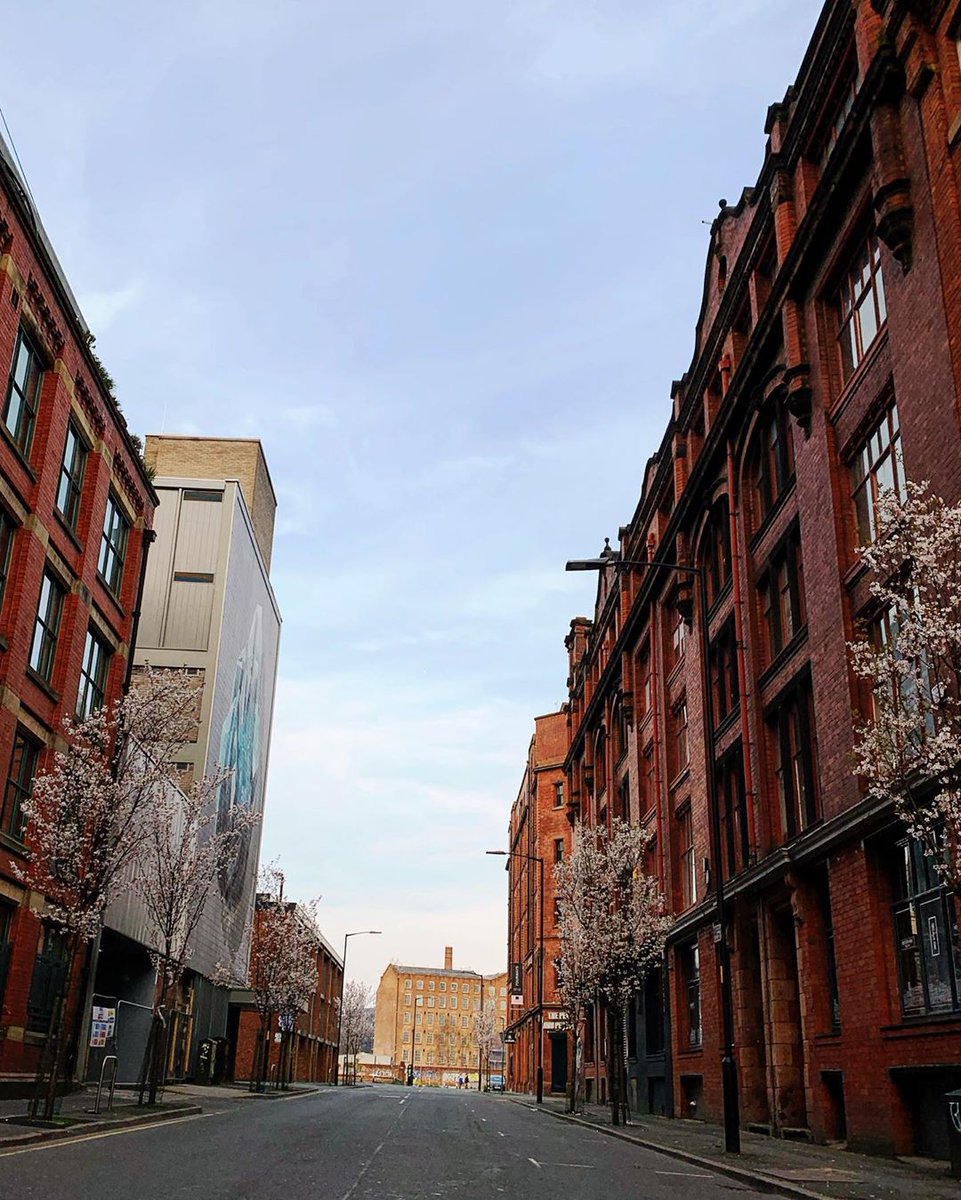 The emptiness of our streets make us appreciate the beauty surrounding us 🌸