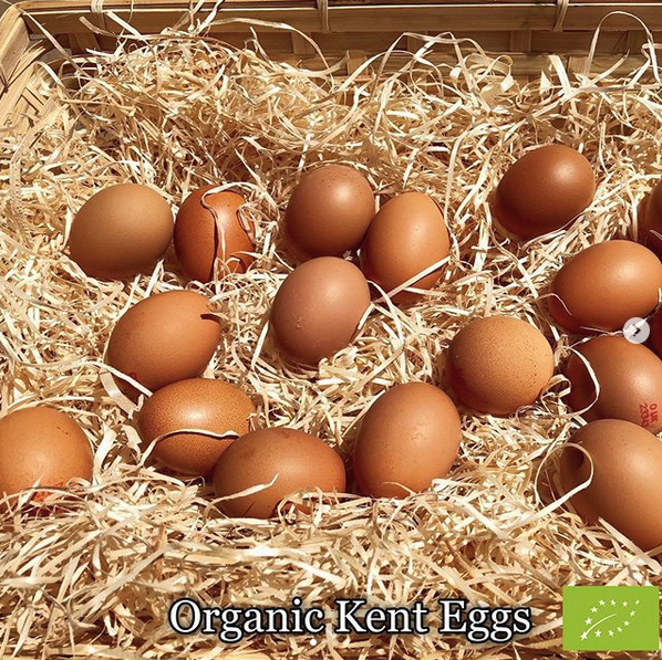 Missing your regular Brockman's organic fruit and veg from the market? <a href="/BrockmansMarket/">Market Stalls</a> are now offering a home delivery service to the following postcodes: SE23, SE4, SE19 &amp; SE26. Visit their website brockmans.co.uk to order veg boxes &amp; Cobnut Farm eggs.<a href="/HornimanMuseum/">Horniman Museum and Gardens</a>