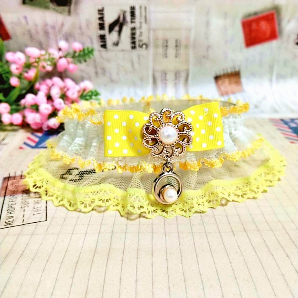 99fdjS's tweet photo. Fashion pet Grooming products
​cat dog elastic ring pet accessories

​​My store 
​https://t.co/meNJhf6GHD
​
​#Beaty #pets #Accessories #dogs #cats #Petsaccessories
​#ties #bows #dogties #dogbows #catties #catbows https://t.co/QRmaRtcvbM