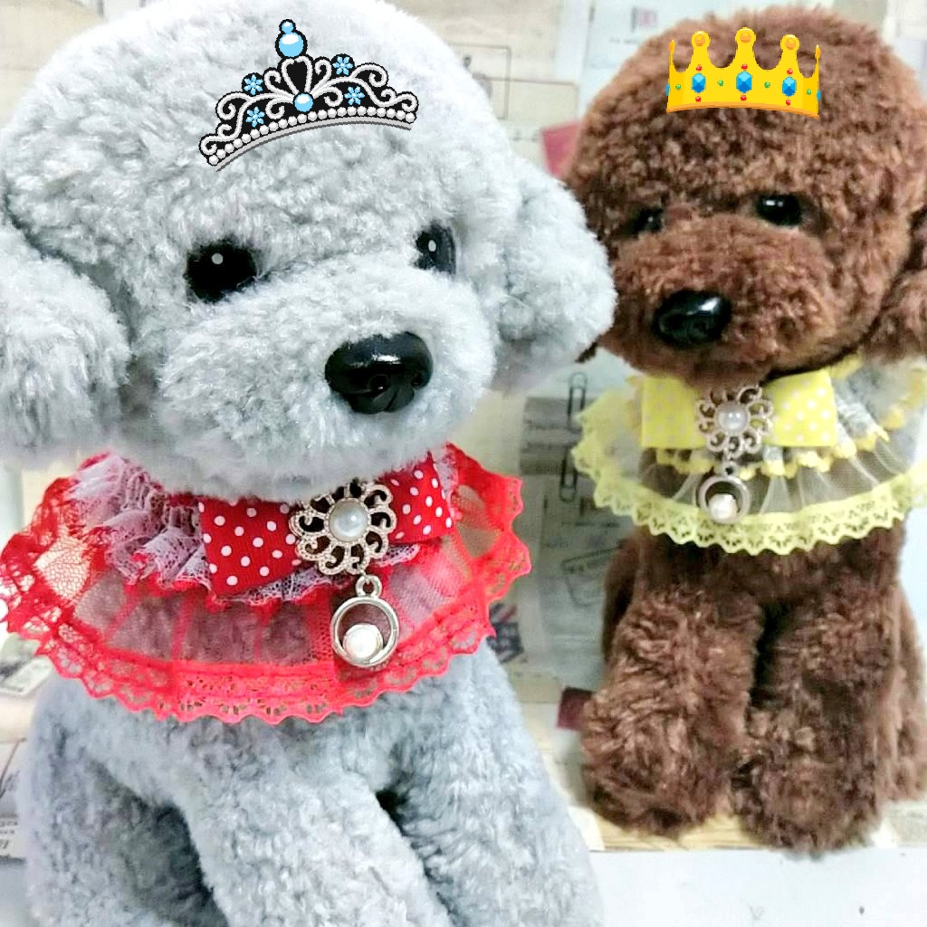 99fdjS's tweet photo. Fashion pet Grooming products
​cat dog elastic ring pet accessories

​​My store 
​https://t.co/meNJhf6GHD
​
​#Beaty #pets #Accessories #dogs #cats #Petsaccessories
​#ties #bows #dogties #dogbows #catties #catbows https://t.co/QRmaRtcvbM