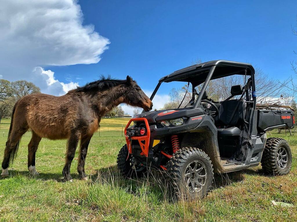 UTVGuide's tweet photo. Our @canamoffroad Defender is getting a solid workout lately with the stay at home directive.
#CanAmDefender @itptireswheels @ssvworks @warnindustries #DoWork #RanchLife #SocialDistancing https://t.co/ajqI1VlMe1 https://t.co/WaElC9LJIY