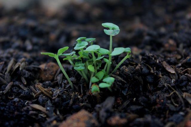 Opustimeapp's tweet photo. 3-Rs for tough times: #reinvent, #relaunch, #revive! Sow the seed of a great #business. Full-featured trial of @Opustimeapp now available. Try it free for 30 days. https://t.co/oTPEh69SW8