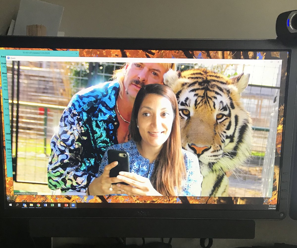 schermama's tweet photo. New virtual background. If you don’t already have a meeting with me, I’m sure you’re dying to schedule one now! 😆 #WFH #funwithzoom #TigerKing #StayHome https://t.co/g7zOjlMxL3