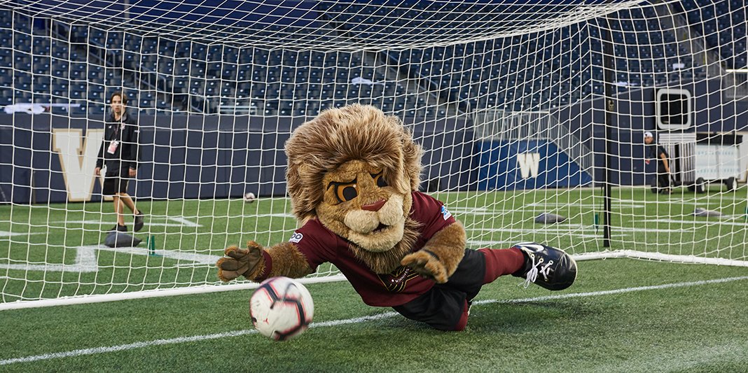 ValourFCVic's tweet photo. I don't know who 'Joe Exotic' is and I don't care to find out. 

However, everyone should know that I am the REAL TIGER KING! 

(I'd call myself the Lion King but @Disney won't let me 🙄) https://t.co/4Yq6T5pUCk