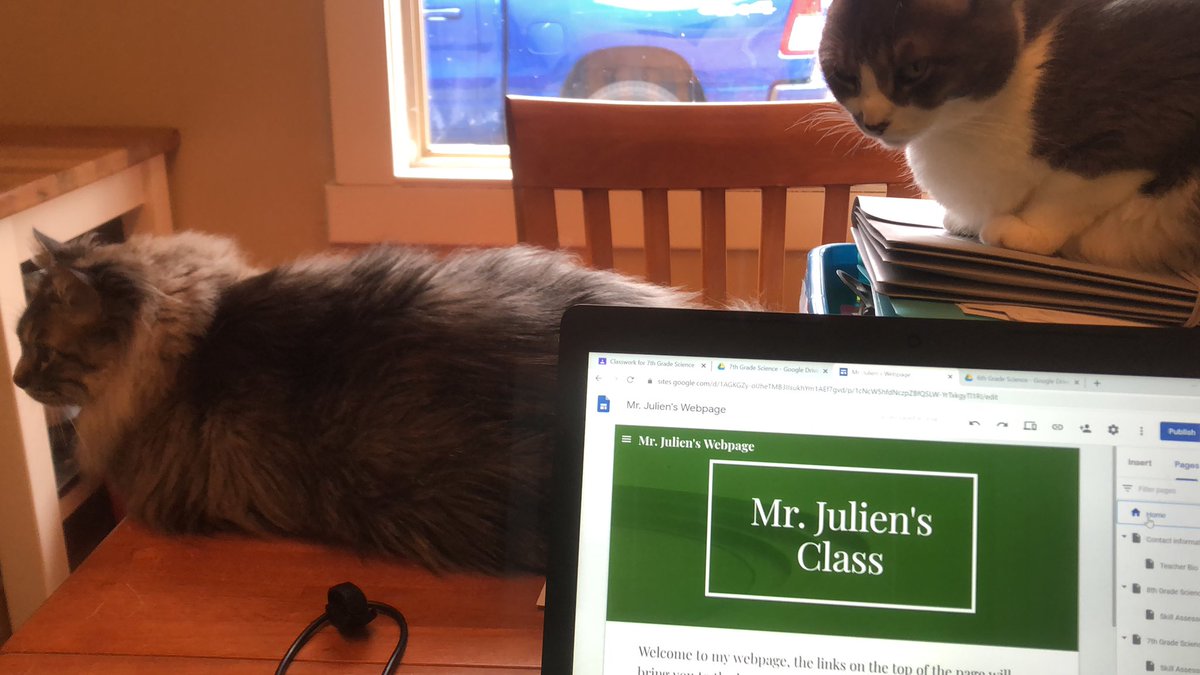 MrJuliensClass's tweet photo. My new coworkers are talking me into getting lunch early.. I suppose!!!
#QuarantineLife #CatsOfTwitter #coworker #jms https://t.co/yaDZ4E17rj