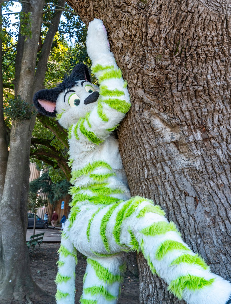 I know we're not supposed to hug people for a while (:ccc)
But, like...can we still hug trees?

...I need my hugs man...

(Please keep staying safe &amp; healthy everyone!)

📸 <a href="/ChatahSpots/">ＭＩＧＯ💢⃤🔜🇯🇵🇰🇷</a>