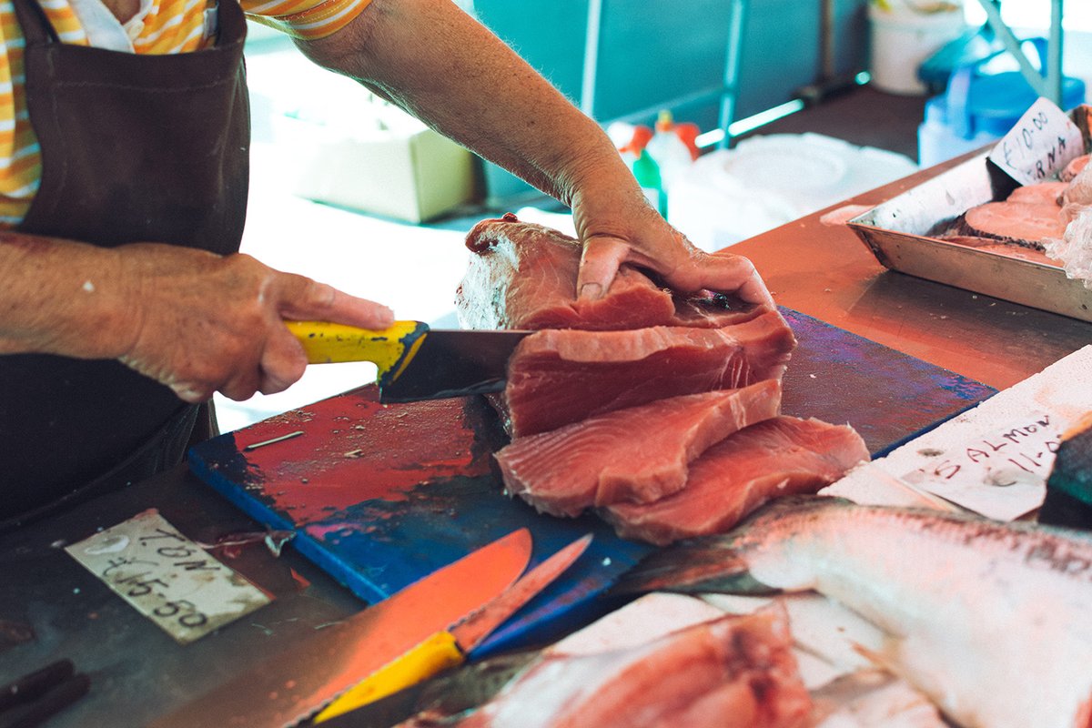 GAL Pesca Trapanese tweet media