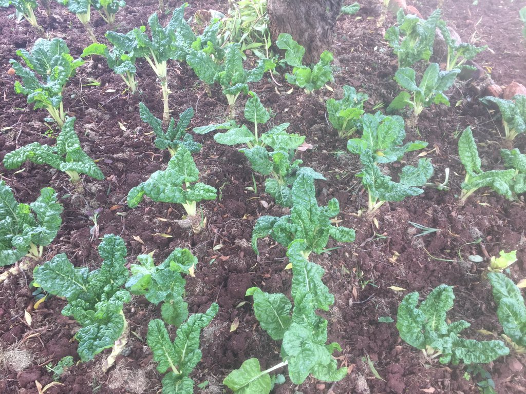 <a href="/GenderLinks/">Gender Links</a> discovering new #WOW #WorkFromHome #lockdown #LockdownSA genderlinks.org.za/gl-news/gender… <a href="/GomolemoRas/">Gomolemo Rasesigo</a> <a href="/SarahMistryBGS/">Sarah Mistry</a> <a href="/NtoloLekau1/">Ntolo Lekau</a> <a href="/LuciaMabeth/">Manteboheleng Mabeth</a> <a href="/almolokomme/">Athaliah Molokomme</a> @CLGFDSG_LSlack <a href="/Tarrieli/">Tarrie Nyamweda</a> <a href="/WVLSouthAfrica/">Women's Voice & Leadership</a> <a href="/SifisoDube/">Sifiso Dube</a> <a href="/Kubeshni/">Kubeshni Govender</a> <a href="/RuthAyisi/">Ruth Ayisi</a> <a href="/FemnetProg/">FEMNET</a> <a href="/ferialhaffajee/">Ferial Haffajee</a> <a href="/UN_Women/">UN Women</a>