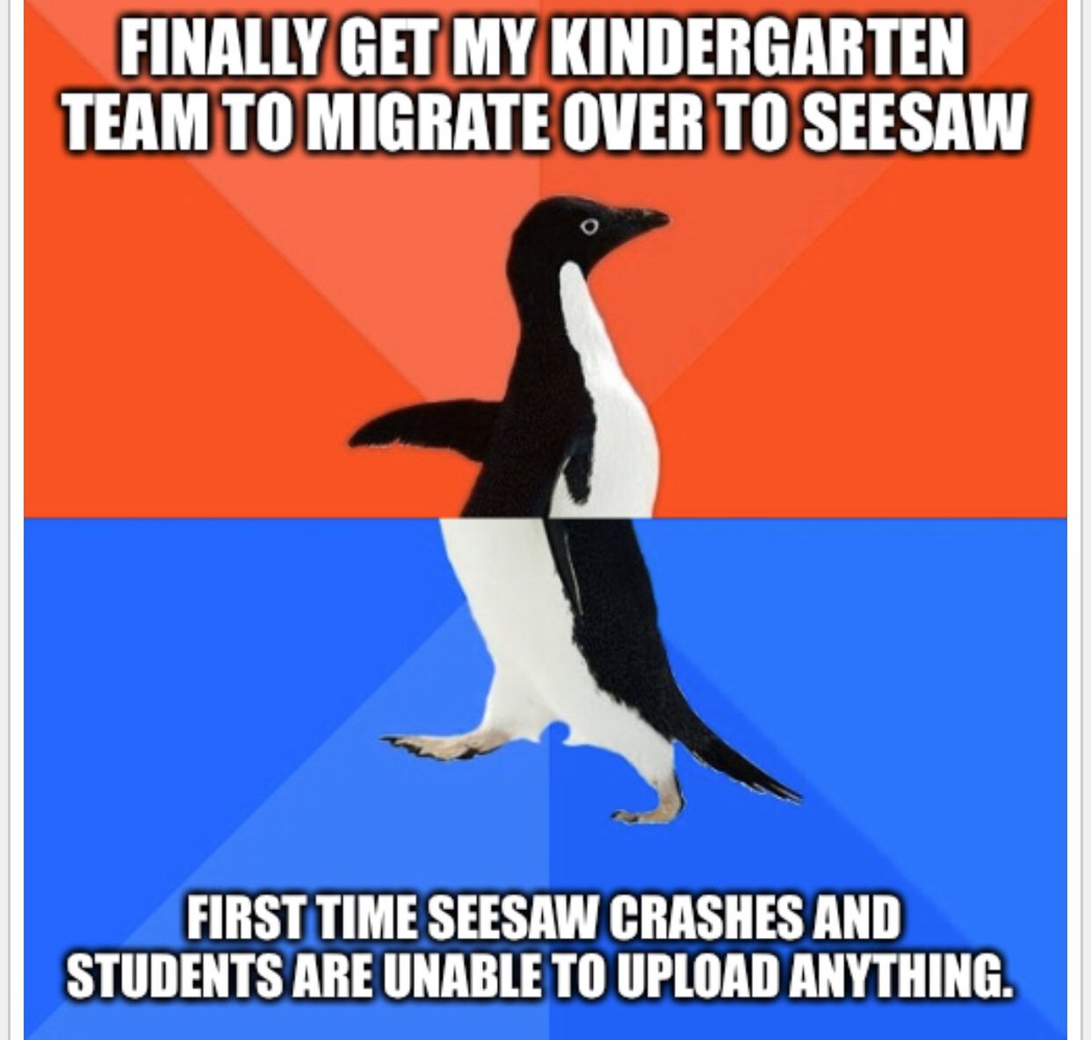 Alberto Flores (@bico_sensei) on Twitter photo 