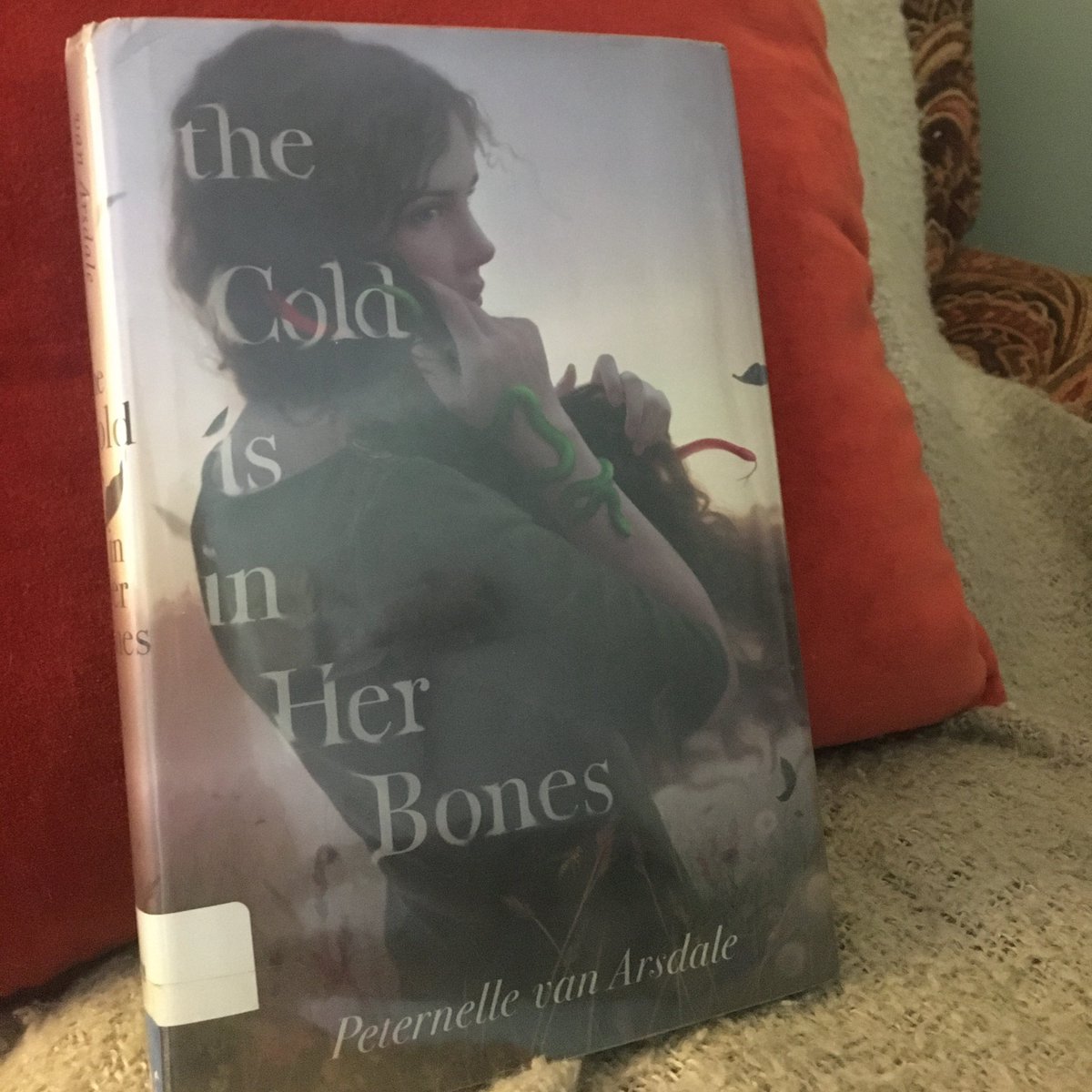 LunsfordLibrary's tweet photo. Mrs. Shannon is reading The Cold in Her Bones by Peternelle Van Arsdale: a dark and twisty YA fairytale, with a feminist edge... yes please! Add it to your list to check out from our collection. #jmlreads #digitalbookclub https://t.co/uGqdk6OIbl
