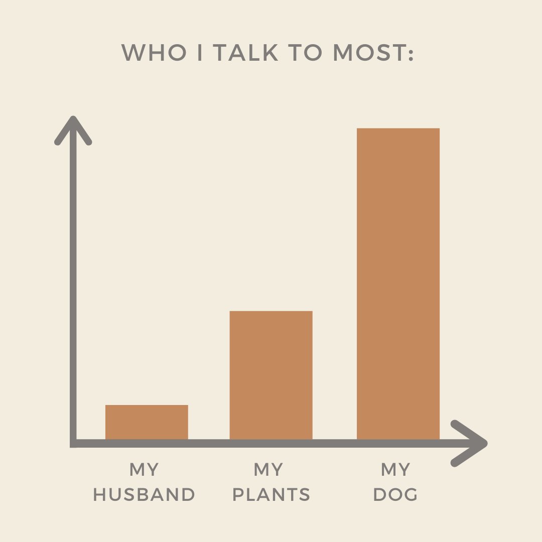 Priorities...#maxbone #WFH