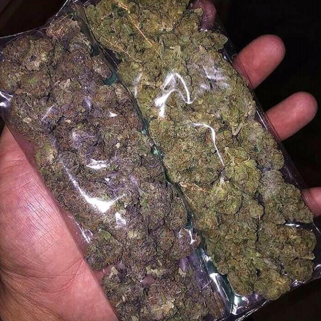 MalcomAlston2's tweet photo. Be quarantined with this lovely kush
#MedicalMarijuana 
#Goodweed
#Goodkush
#painrelief 
#Sleepgood https://t.co/O9uBCXYEms
