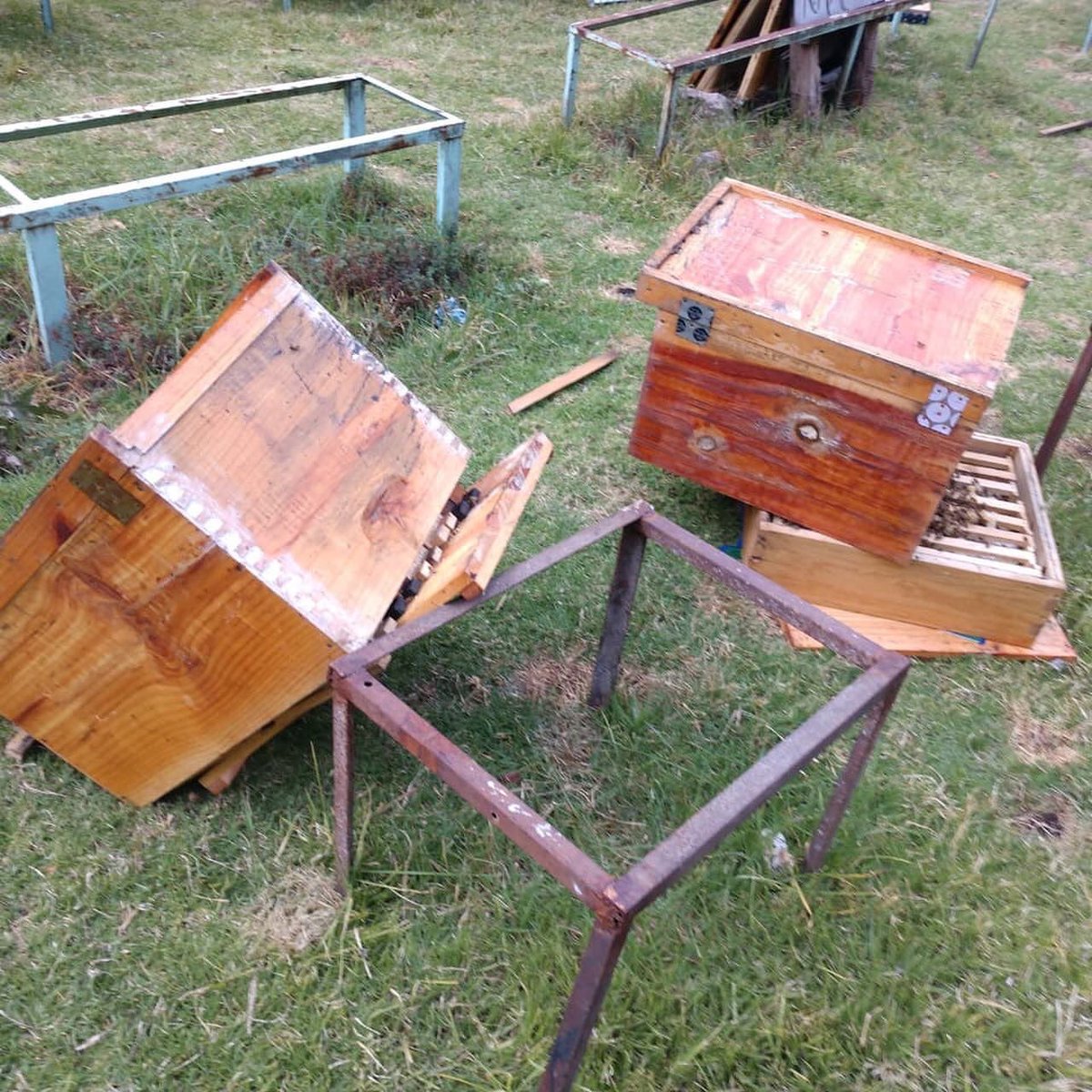 EUGIE29's tweet photo. Vandalizan apiario 🐝🐝 🐝Xun-Kaab en Magdalena Contreras, en los Dinamos.
#apiarioxunkaab #bosquedelosdinamos #lamagdalenacontreras #incendio #incendioforestal #dañoecologico #abejas #abejas🐝 #comuneros #magdalenacontreras #semarnat #miel @ALaMagdalenaC @GobCDMX https://t.co/7ghl3mg2mW