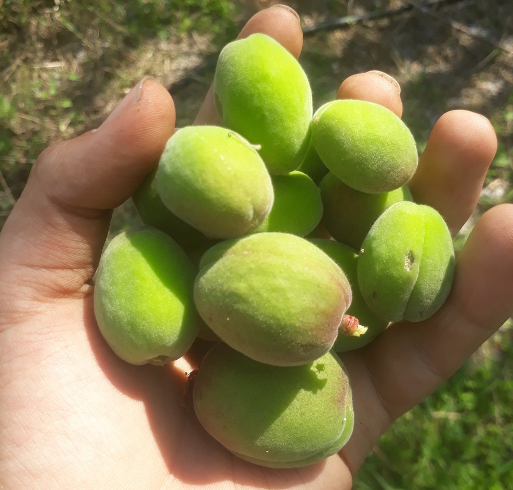 Şimdi okulda olacaktık birisi getireçekti tüm sınıf yiyecektik...Hey gidi günler hey...
