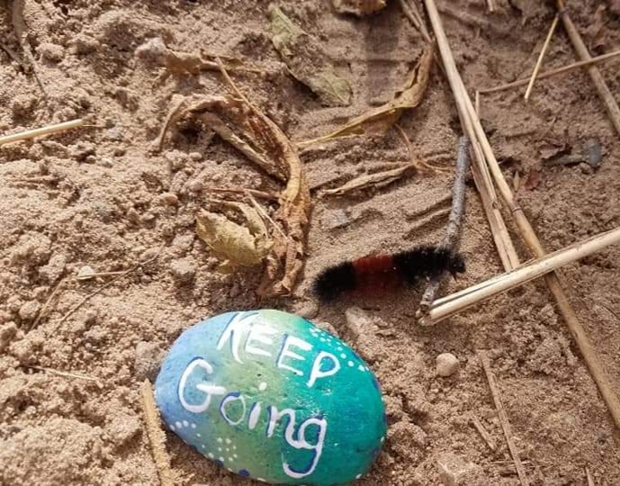 MinnetonkaMN's tweet photo. You never know where you’ll find much-needed #inspiration in #Minnetonka. #KeepGoing #TimelyMessage #MinnetonkaMonday
📸: Shoshana Anderson https://t.co/xOf4v0FZmU