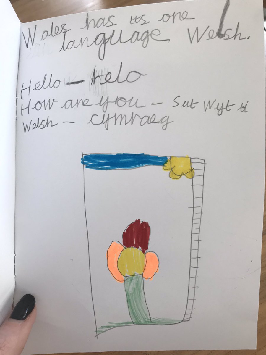 MrsArcticride's tweet photo. @Y1Brunton Islay has been doing a project on #Cardiff today.. and she made a book about all the things she learnt ❤️ #wales #1SL #everydaysaschoolday #funfacts https://t.co/soESRZFAUS