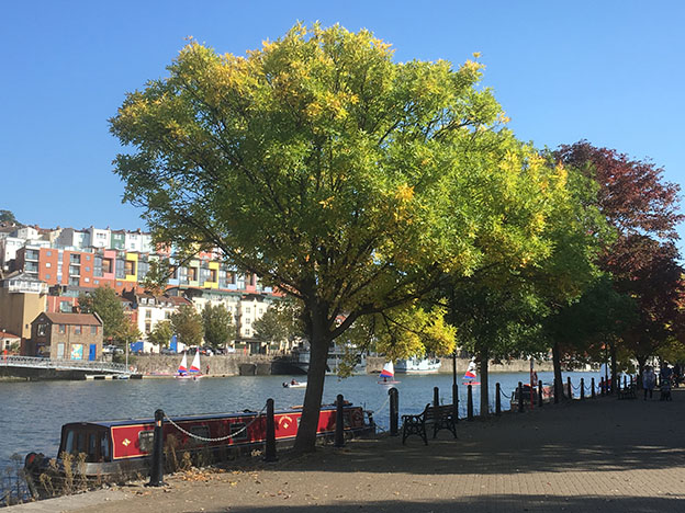 UWE_SPE's tweet photo. Bristol: An exemplar of 'reflexive governance' for sustainable urban development? Read @hallsg @UWE_SPE &amp; @AkselErsoy 's new blogpost here https://t.co/KoqjJkiT6q
@UWE_GEM @DrKatieMcC @DanniSinnett @hehoyle1 @Hooman_araabi @theTCPA @RTPIPlanners @drdgopinath @UWEBristol https://t.co/kXRZ2pp6CC