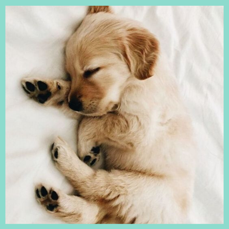 AFYASkinandBody's tweet photo. Monday Mood 💤 https://t.co/axM1J8clB2