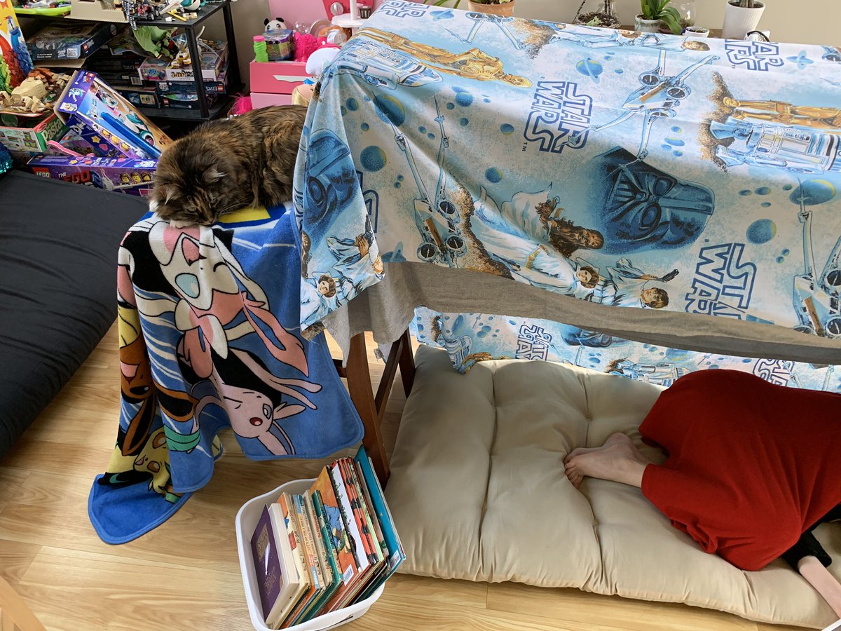 MrsLaneCanTeach's tweet photo. My daughter and I created this Reading Fort (or canopy) for our school’s Virtual Spirit Week!
#sesvirtualspiritweek
@SuncrestStars
@Monongalia_Co
#readeveryday https://t.co/HRmRcxv7TH