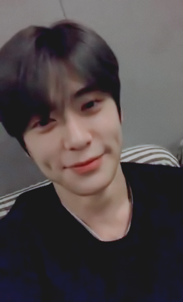 비비드 tweet media