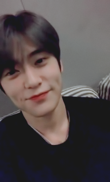 비비드 tweet media