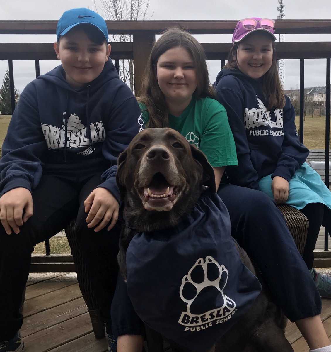 ABingeman's tweet photo. @MrsLoRusso @mswhitewrdsb @g_rodenburg @MmeRoseBreslau @brewrdsb @breslau78 @SchmidMichL this momma is not a teacher...and is ready to strike...who wants them back to teach??? Lol https://t.co/LlDlh8VBhz
