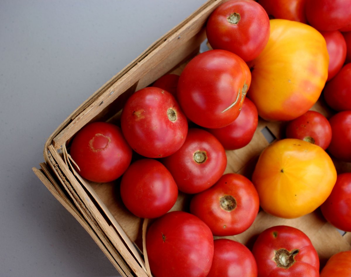412FoodRescue's tweet photo. 1/ 🍅TOMORROW!🍅 Free produce @ChurchBrewWorks to those in need as well as individuals in food service who have been financially impacted by the downturn of the restaurant industry.⁠  Thank you #SyscoPittsburgh @churchbrewworks for your amazing generosity and partnership! ⁠ https://t.co/sSqIjgyCWW