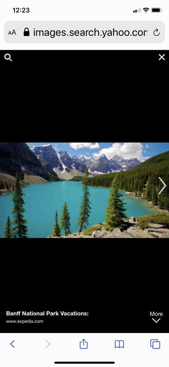 stevenson_mitzi's tweet photo. Here is my current fantasy vacation. #OttersTogether https://t.co/uqopM6UFZB