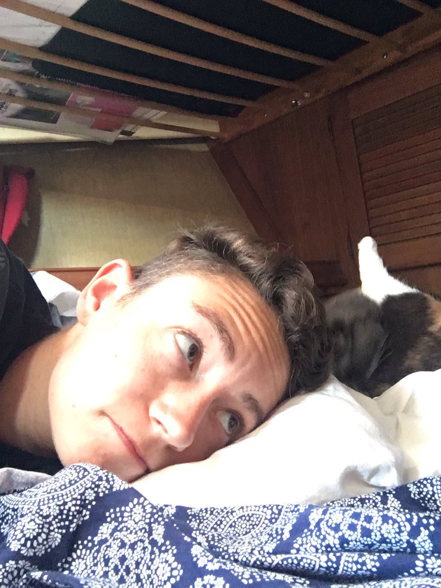 jimenezclarissa's tweet photo. Probably time to get out of bed when your cat starts licking herself next to your head. #MondayMood #MondayMotivaton https://t.co/6gPtp6uCyM
