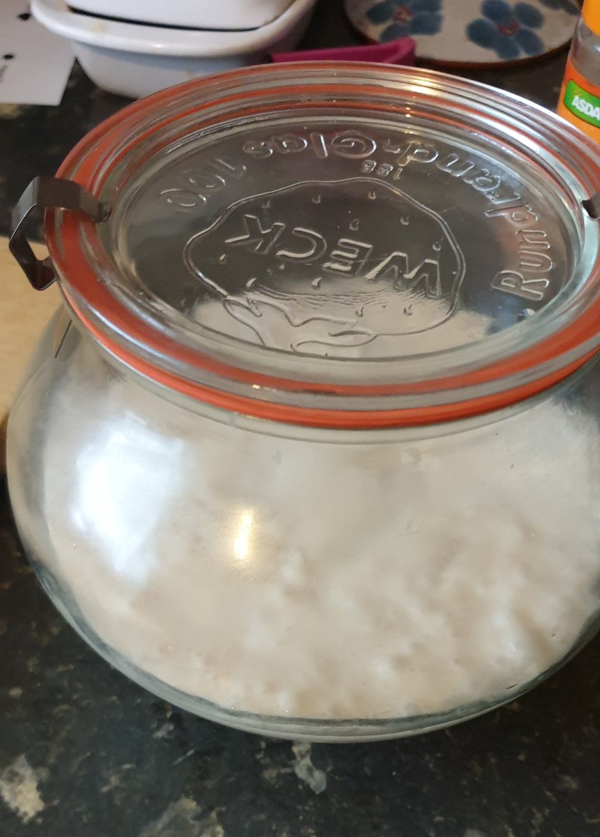 SS_Biology's tweet photo. Trying a bit of kitchen microbiology - made my own sourdough starter! 🍞 https://t.co/fjIkfugq6l