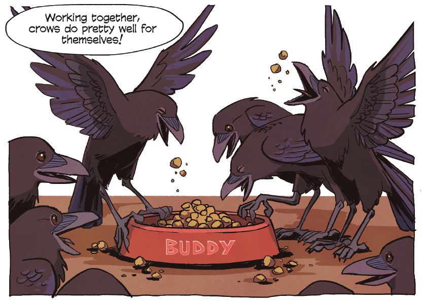 Crows have challenged humans for a millennium! They may be small, but these feathered geniuses can count, raise young together, and recognize faces. @KylaVan shows that when these birds flock together, they can accomplish wonders! #ScienceComics: Crows bit.ly/2IQkIPG