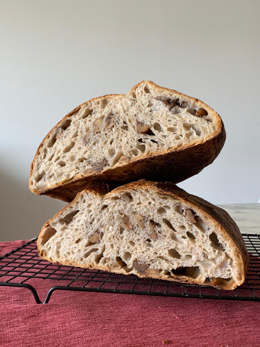 trickyech's tweet image. Getting better at this bread thing.  12a. 20% @capay_mills Øland Landrace Wheat. 80% hydration. #bread #sourdough #walnutbread #tartinebreadbook