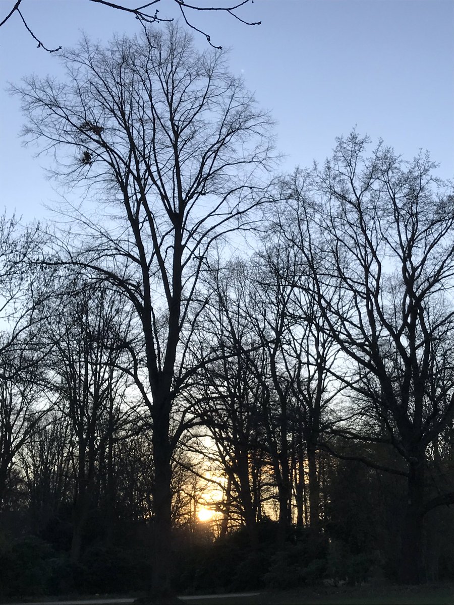 CatGerrard's tweet photo. @Campaign4Parks @BroadsNP This from Tiergarten, Berlin! Not quite a national park but a place of wonder nonetheless... https://t.co/Fh0fZry07D