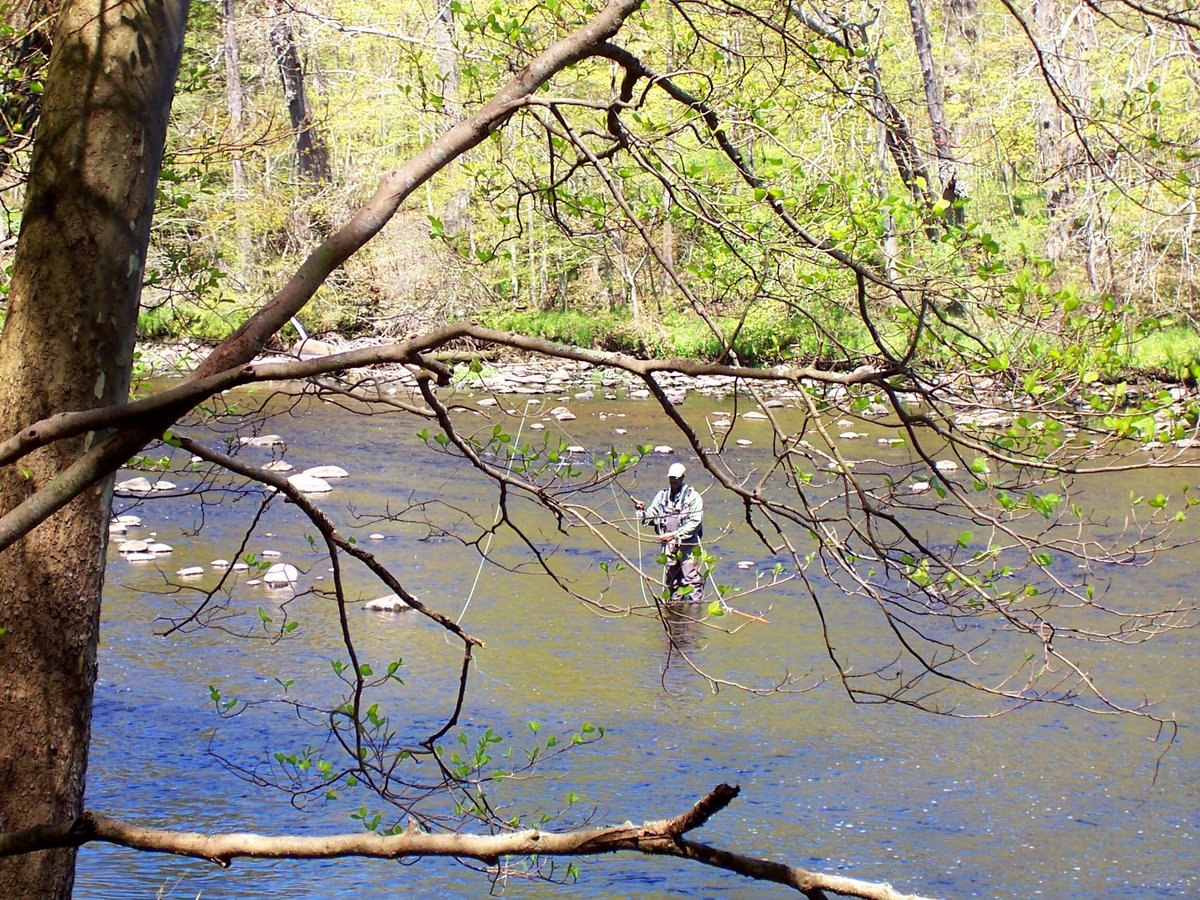 The Last Green Valley National Heritage Corridor has great places to fish. CT has opened the season early. Both Massachusetts and Connecticut require a fishing license. Visit here for more CT info bit.ly/2JmN9oT and here for MA info bit.ly/33Uri1c