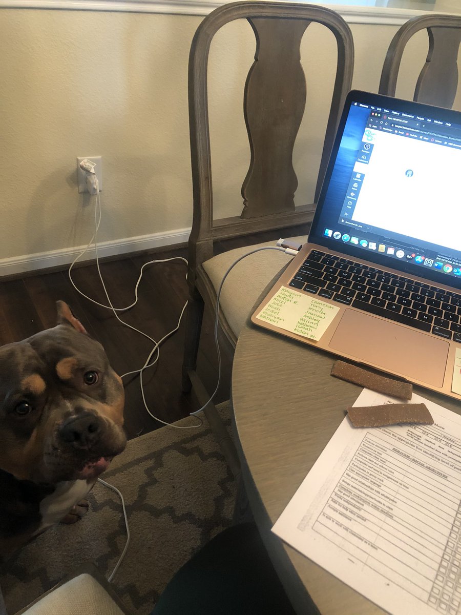 FUR BABY DAY! Getting some help from Jefe the Bully today! #cjhrocks #WFH #americanbully #canvas #TeachFromHome <a href="/CardiffColts/">Cardiff Junior High</a> <a href="/katyisd/">Katy ISD</a>